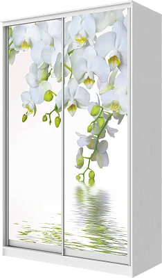 картинка Шкаф-купе 2-х дверный с фотопечатью Белая орхидея 2300 1362 420 от магазина КУПИ КУПЕ